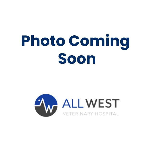 All West Vet Hospital - Photo Coming Soon