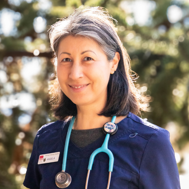 Veterinarian In Bozeman, MT 59718 All West Veterinary Hospital