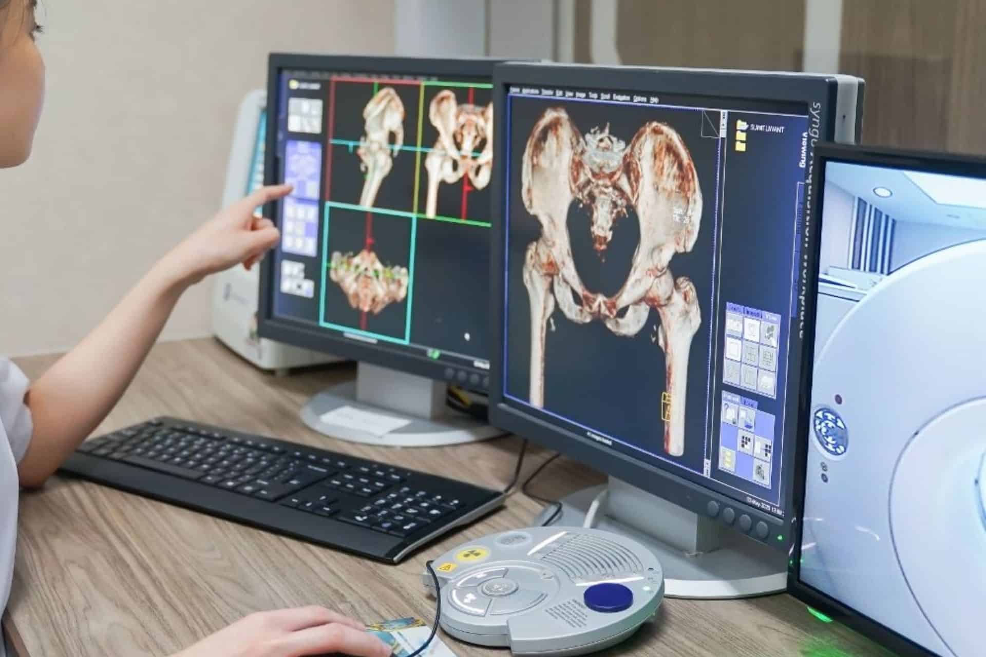 Pet X-ray